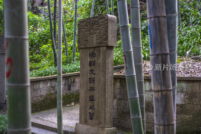 杭州宝石山牛皋墓