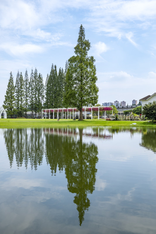 成都城市风景