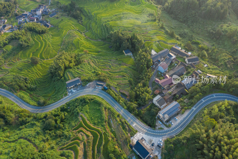 航拍穿过梯田盘旋弯曲的公路