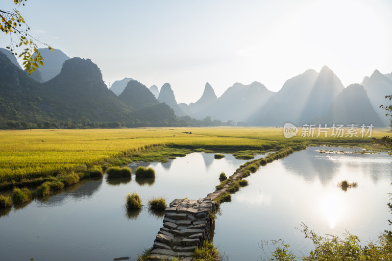 桂林山边小河上的古石桥和岸边金色的稻田