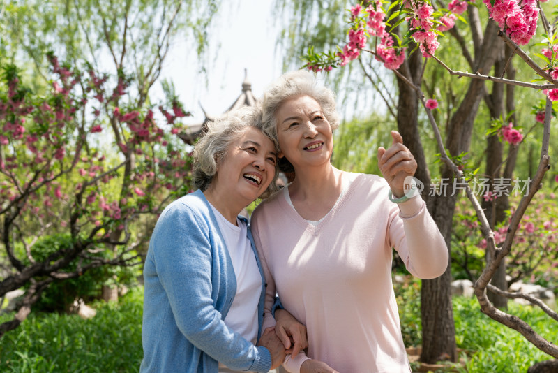 两个老年女人赏花