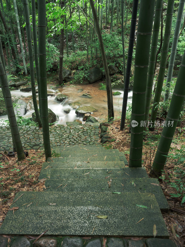 雨中山间竹林宁静步道