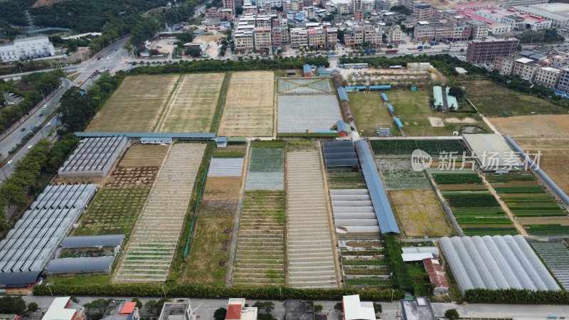 航拍广东省东莞市清溪镇维康生态园