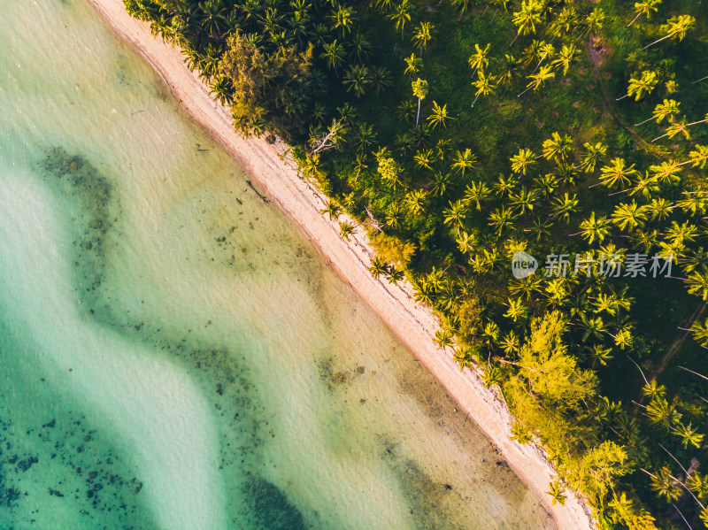 俯瞰热带海滩与椰林