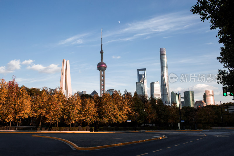 秋天道路旁的树木与上海浦东陆家嘴现代建筑