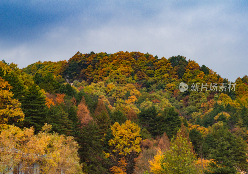 河南省洛阳白云山九龙潭秋天风景