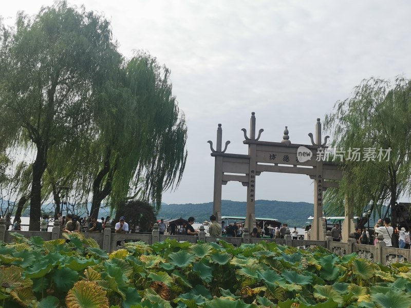 西湖风景名胜区钱王饲荷花池