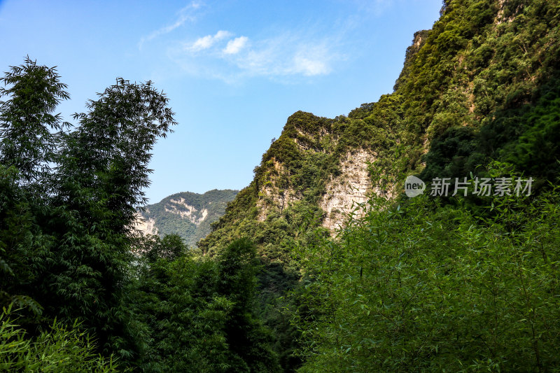 湖北宜昌三峡竹海风景区，自然风光，竹海