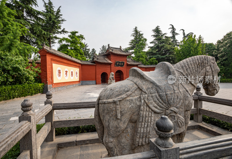 洛阳白马寺入口门白马石狮子景点景观