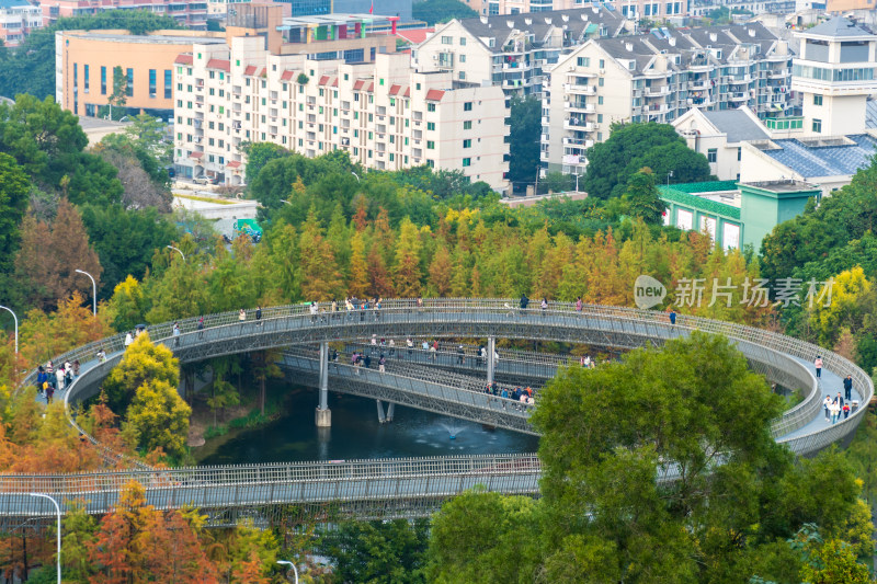 福州福道山林中蜿蜒的观景步道