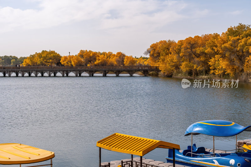 新疆南疆喀什巴楚红海胡杨林金秋尉头洲美景