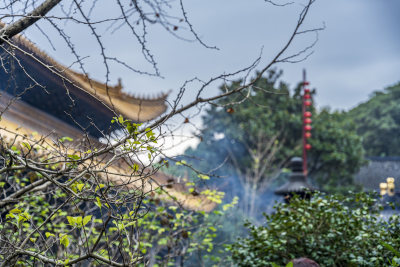 浙江普陀山普济寺禅院建筑