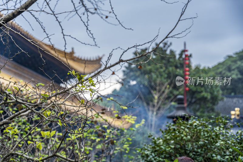 浙江普陀山普济寺禅院建筑