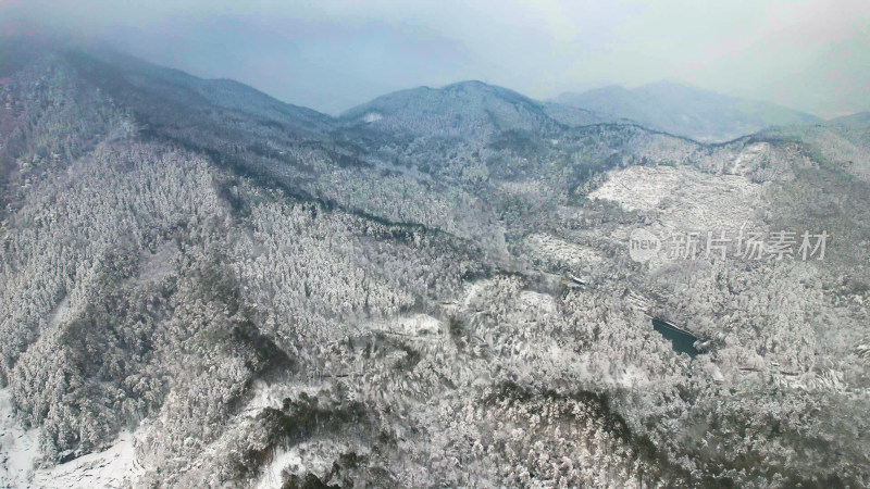 森林雪景