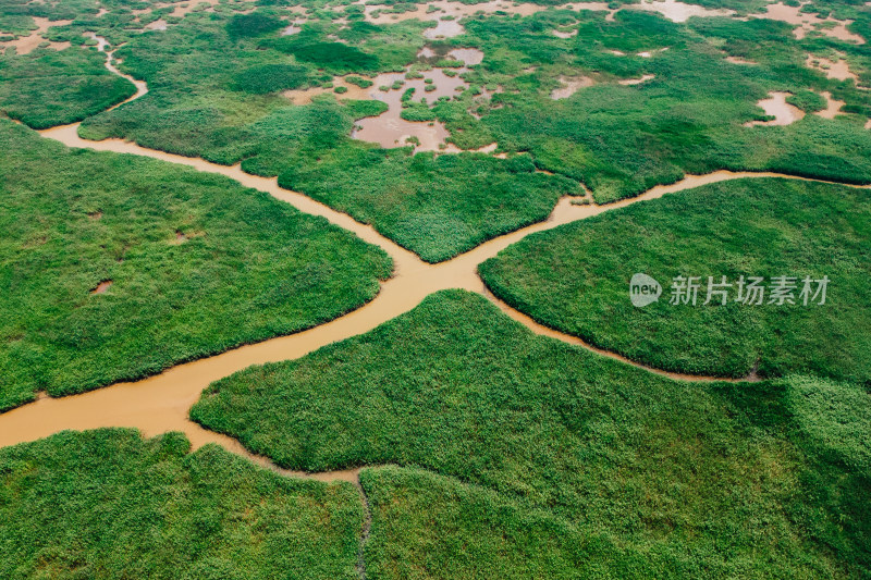 东营黄河口生态旅游区