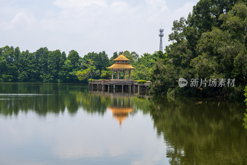 夏季白天广东揭阳榕江西湖公园湖心亭