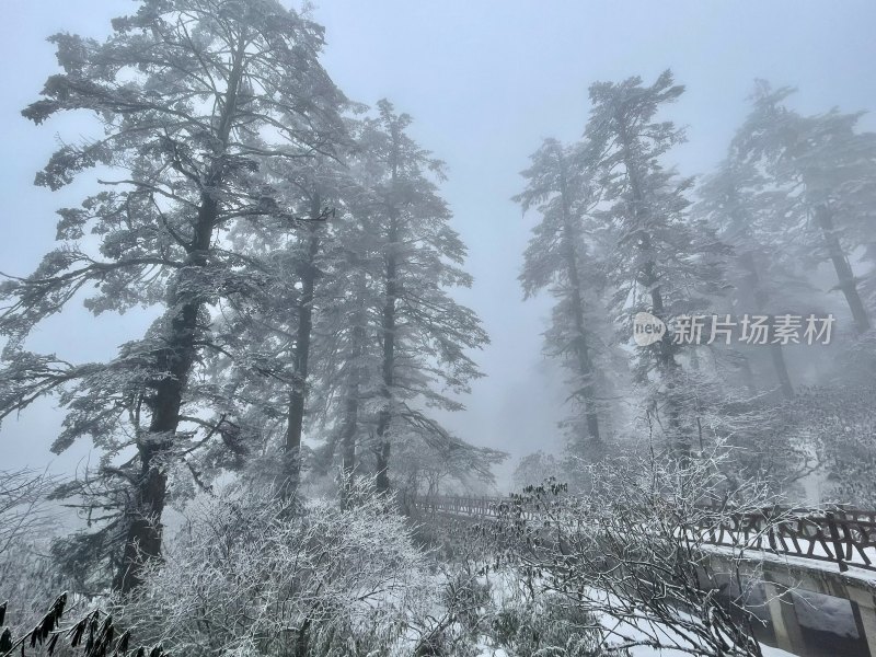 瓦屋山冬雪