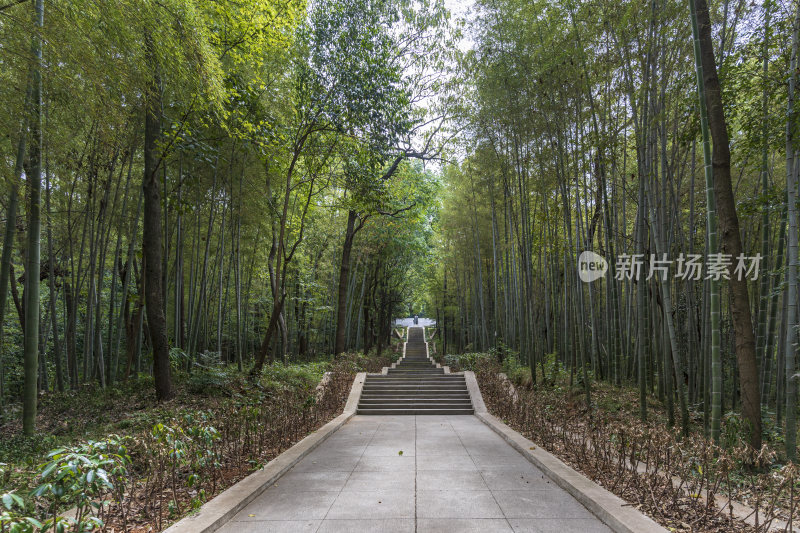 武汉江夏区熊廷弼公园项英广场风景