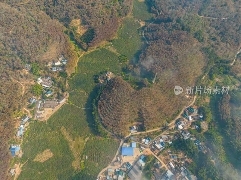 航拍乡村田园风光