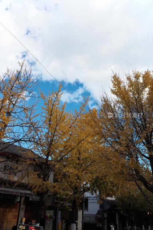 大理苍山洗马潭景区