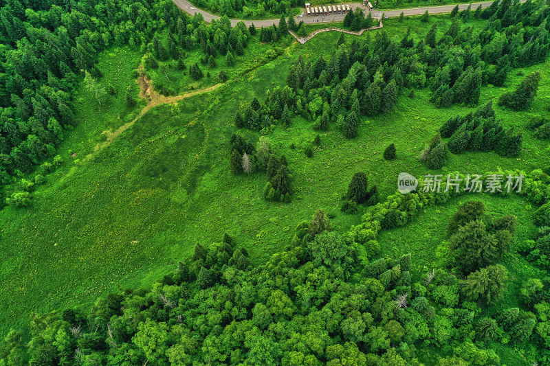 长白山高山花园风光