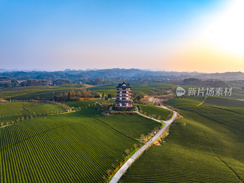 贵州遵义湄潭茶海