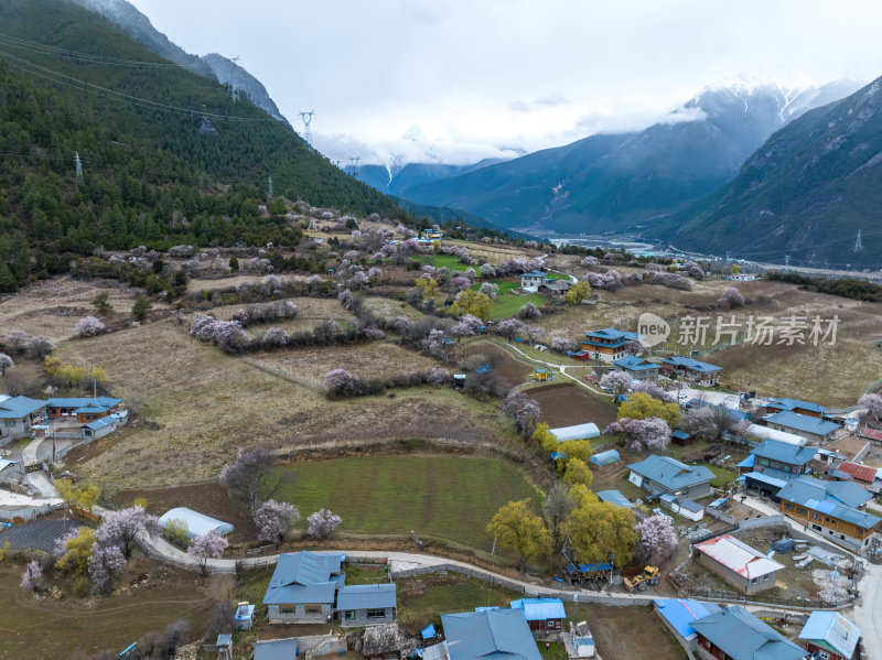 西藏林芝地区藏王故里桃花沟高空航拍