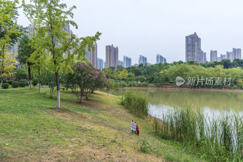 武汉江夏区韵湖湿地公园风景