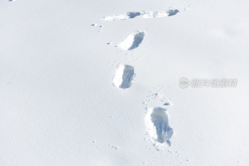 雪地上的脚印特写