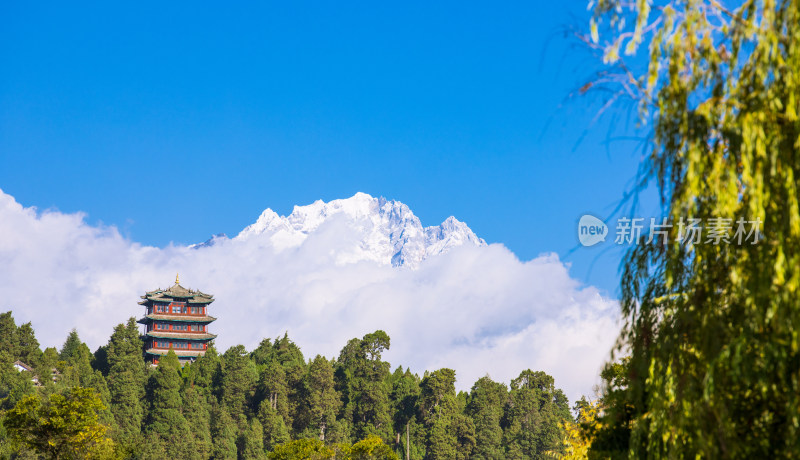 丽江古城黑龙潭景