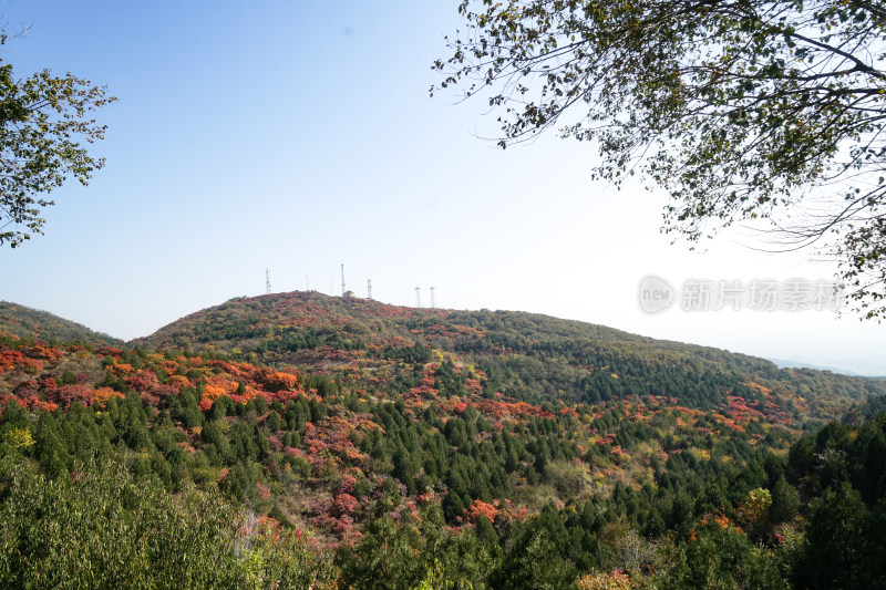 高山风景绿色自然