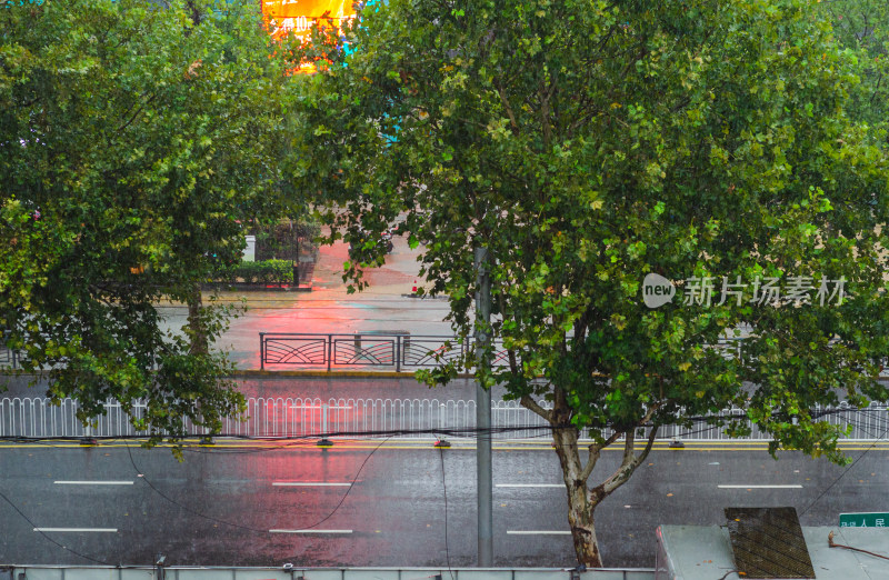 青岛下雨的马路