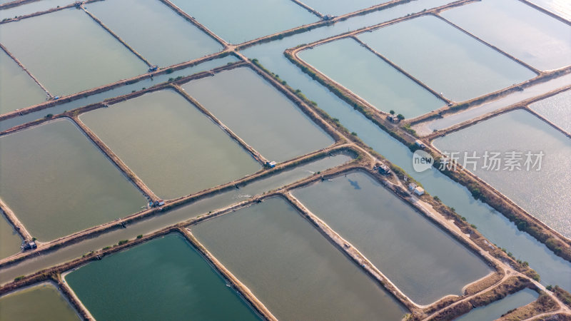 水产养殖：廉江市龙营围万亩虾田