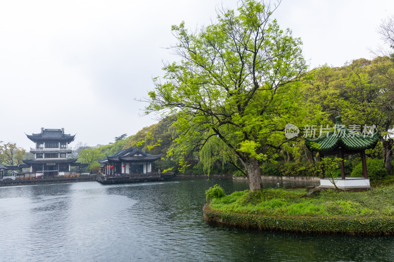 烟雨江南无锡蠡园春色