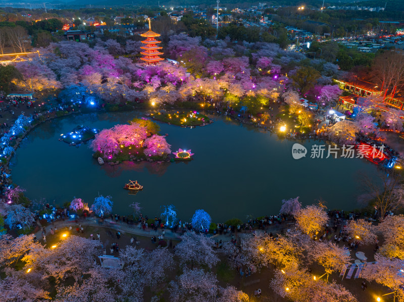 武汉东湖磨山樱花园夜景风光