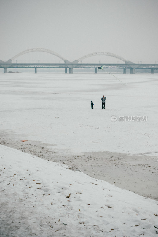 冬日的雪地