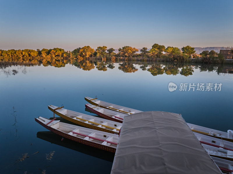 新疆巴楚红海景区的胡杨林