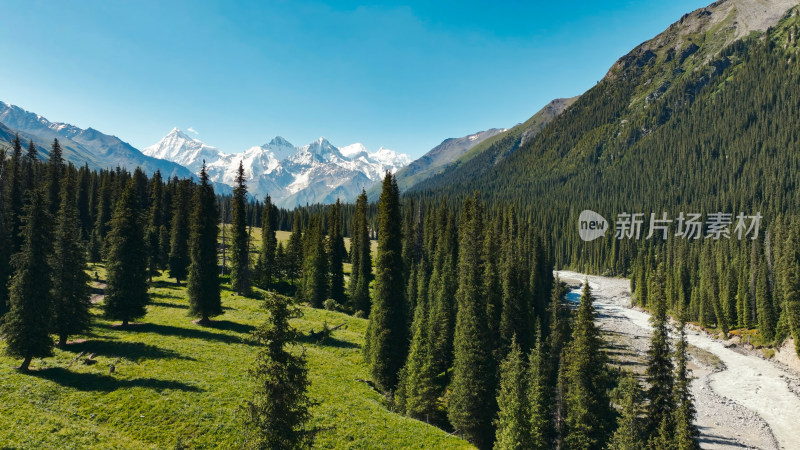 航拍雪山森林河流风景