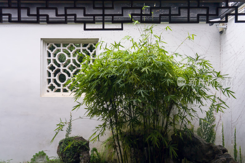 江南苏州园林绿色竹子窗户传统文化诗意
