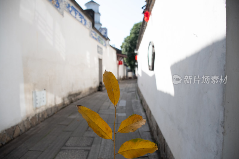 福州太平古街道