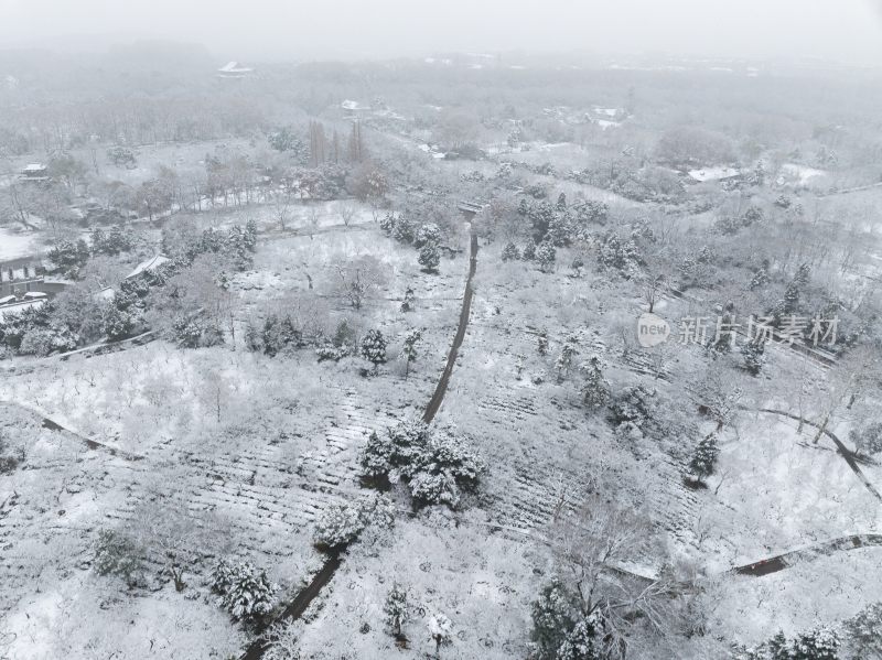 南京明孝陵雪景