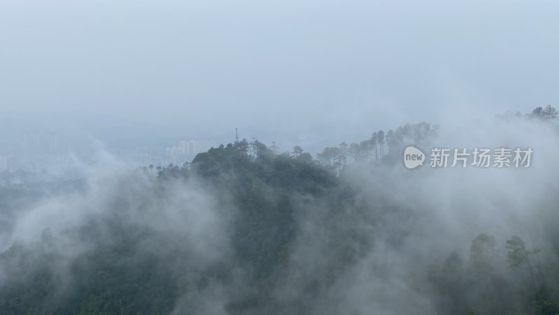 梧州白云山云海