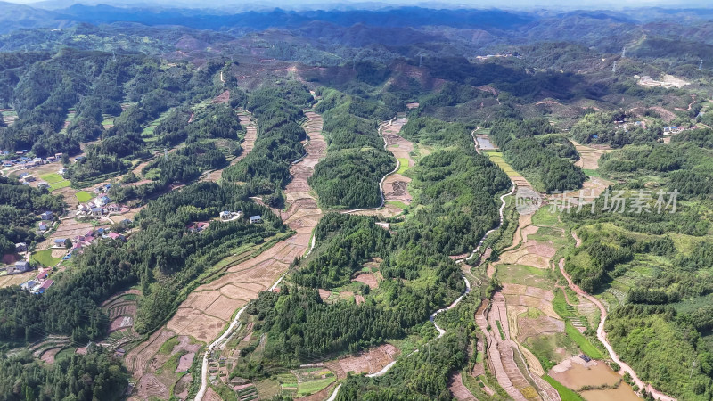 丘陵山川稻田梯田风光航拍