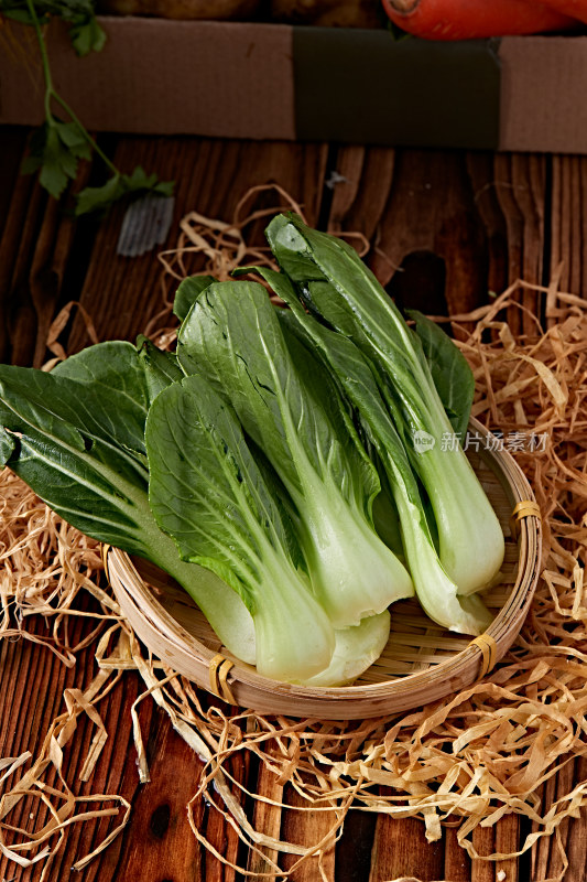 新鲜采摘有机青菜油菜