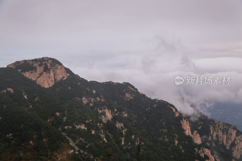 云海 山峰 山峦 清晨 泰山 壮观