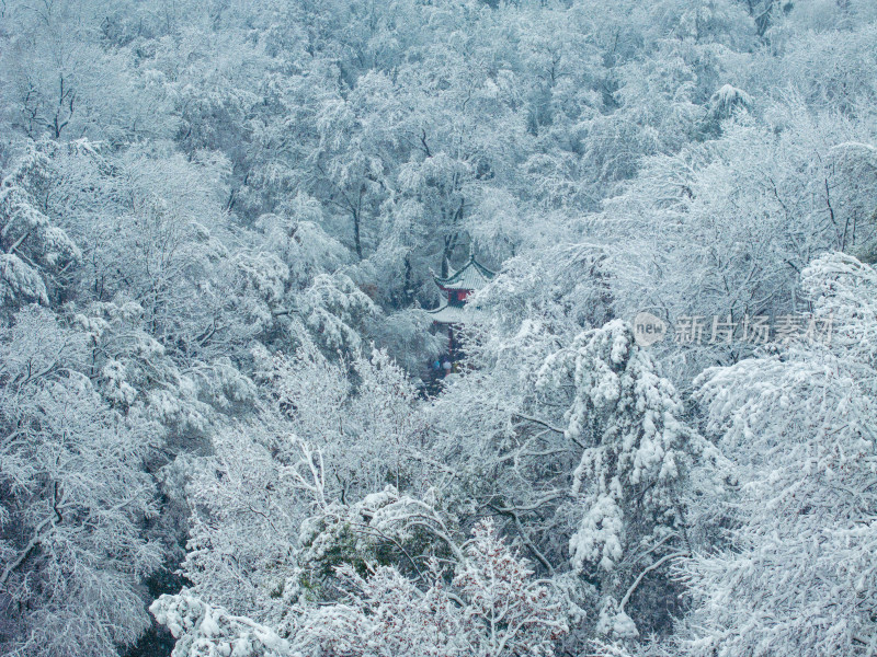 爱晚亭雪景