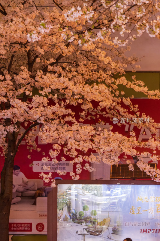 湖南常德府坪街春季樱花街道夜景