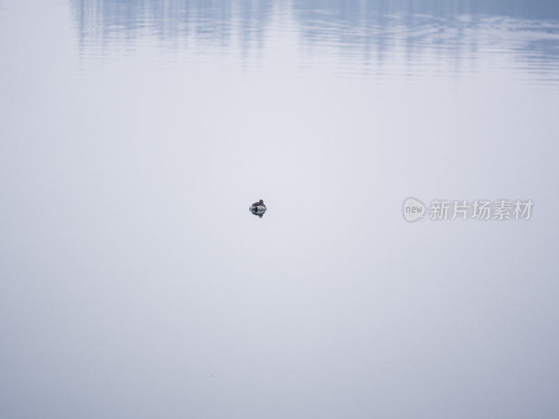 杭州西湖茅家埠江南水乡风景