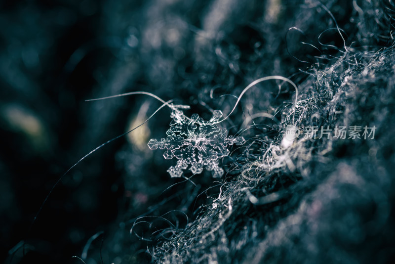 雪花结晶微距特写素材