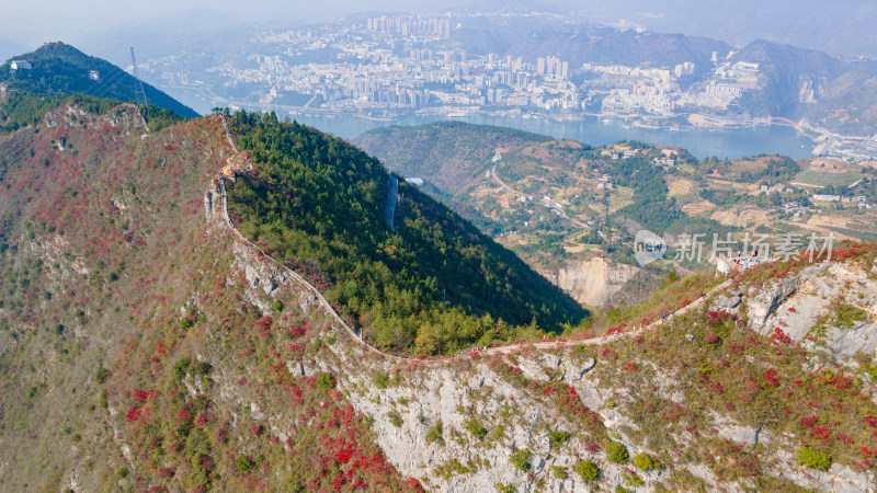 长江三峡巫峡红叶